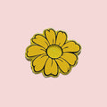 Daisy